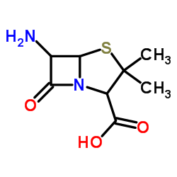 6-AMINO-3,3-DIMETHYL-7-OXO-4-THIA-1-AZA-BICYCLO[3.2.0]HEPTANE-2-CARBOXYL Structure