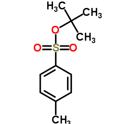 对甲苯磺酸叔丁酯图片