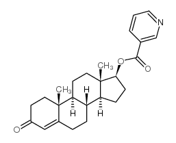 17-beta-hydroxyandrost-4-en-3-one nicotinate structure