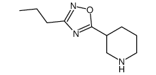 3-(3-n-Propyl-1,2,4-oxadiazol-5-yl)piperidine structure