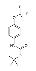 4-(三氟甲氧基)苯基氨基甲酸叔丁酯图片