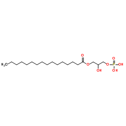 1-Palmitoyl lysophosphatidic acid Structure