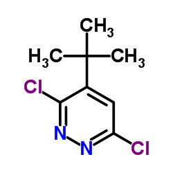 4-叔丁基-3,6-二氯哒嗪图片