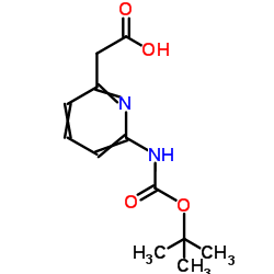 6-叔丁氧羰基氨基-2-吡啶乙酸图片