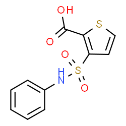 2-THIOPHENECARBOXYLIC ACID, 3-[(PHENYLAMINO)SULFONYL]- picture