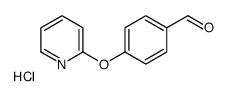 1172759-99-7 structure