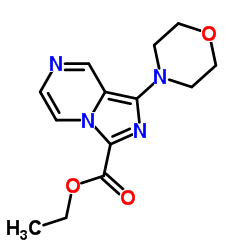 1304065-01-7 structure