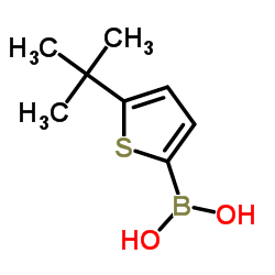 (5-(tert-Butyl)thiophen-2-yl)boronic acid picture