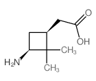 Cyclobutaneaceticacid, 3-amino-2,2-dimethyl-, (1R,3R)-rel- Structure