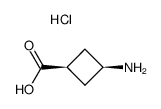 hydrochloride of cis-3-aminocyclobutane-1-carboxylic acid Structure