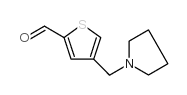 4-(1-PYRROLIDINYLMETHYL)-2-THIOPHENECARBALDEHYDE结构式