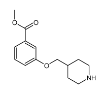 methyl 3-(piperidin-4-ylmethoxy)benzoate Structure