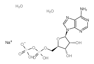 ADENOSINE 5'-DIPHOSPHATE, MONOSODIUM SALT DIHYDRATE picture