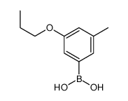 (3-METHYL-5-PROPOXYPHENYL)BORONIC ACID picture