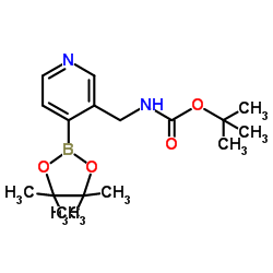 2-Methyl-2-propanyl {[4-(4,4,5,5-tetramethyl-1,3,2-dioxaborolan-2-yl)-3-pyridinyl]methyl}carbamate Structure