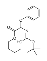 56613-50-4 structure