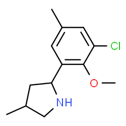 Pyrrolidine, 2-(3-chloro-2-methoxy-5-methylphenyl)-4-methyl- (9CI) Structure