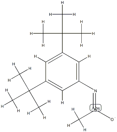 N-(3,5-Di-tert-butylphenyl)methanesulfinamido radical结构式