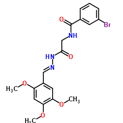 3-Bromo-N-{2-oxo-2-[(2E)-2-(2,4,5-trimethoxybenzylidene)hydrazino]ethyl}benzamide Structure