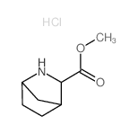 Methyl 2-azabicyclo[2.2.1]heptane-3-carboxylate hydrochloride Structure