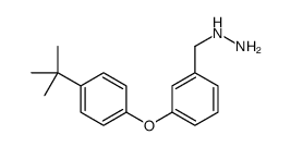 3-(4-TERT-BUTYL-PHENOXY)-BENZYL-HYDRAZINE Structure