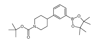 tert-butyl 4-[3-(4,4,5,5-tetramethyl-1,3,2-dioxaborolan-2-yl)phenyl]piperidine-1-carboxylate结构式