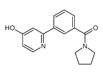 2-[3-(pyrrolidine-1-carbonyl)phenyl]-1H-pyridin-4-one结构式