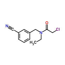 2-Chloro-N-(3-cyanobenzyl)-N-ethylacetamide结构式