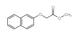 2-萘乙酸甲酯图片