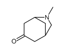 6-methyl-6-azabicyclo[3.2.1]octan-3-one picture