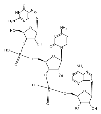 5'-gca-3'结构式