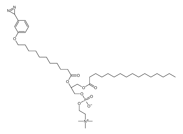 1-palmitoyl-2-(11-(3-diazirinophenoxy)undecanoyl)-sn-glycero-3-phosphocholine结构式