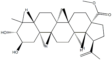 2α,3β-Dihydroxylup-20(29)-en-28-oic acid methyl ester Structure