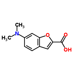 6-(Dimethylamino)benzofuran-2-carboxylic acid Structure