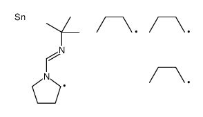 N-tert-butyl-1-(2-tributylstannylpyrrolidin-1-yl)methanimine Structure