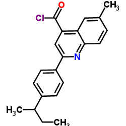 2-(4-sec-Butylphenyl)-6-methyl-4-quinolinecarbonyl chloride Structure