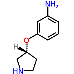 3-[(3R)-3-Pyrrolidinyloxy]aniline结构式