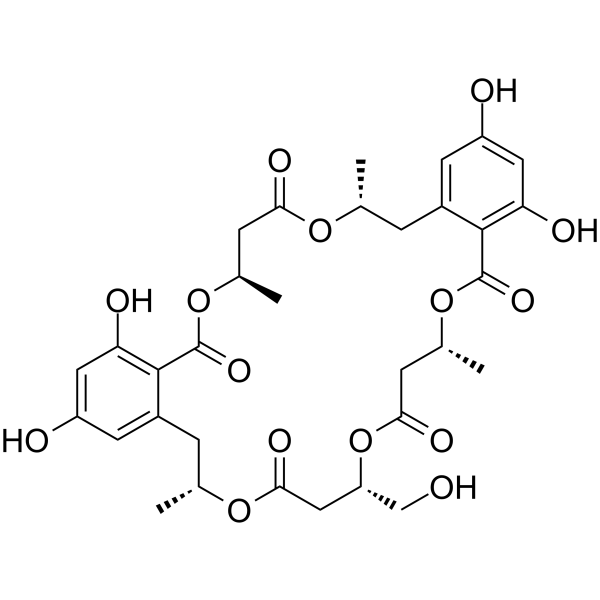 NG 012 Structure