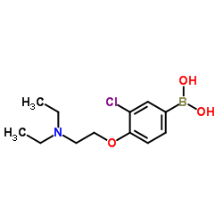 (3-chloro-4-(2-(diethylamino)ethoxy)phenyl)boronic acid picture