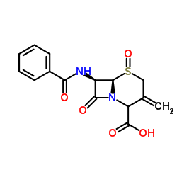 [6R-(6α,7β)]-7-(Benzoylamino)-3-Methyl-8-oxo-5-thia-1-azabicyclo[4.2.0]oct-2-ene-2-carboxylic Acid 5-Oxide picture