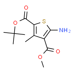 METHYL 2-AMINO-4-METHYL-5-(TERT-BUTOXYCARBONYL)-THIOPHENE-3-CARBOXYLATE图片