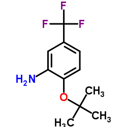 862874-79-1 structure