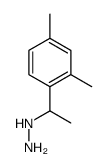 1-(2,4-dimethylphenyl)ethylhydrazine结构式