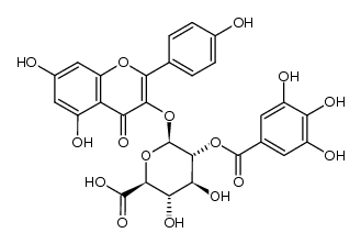 kaempferol 3-O-(2''-O-galloyl)-glucuronide Structure