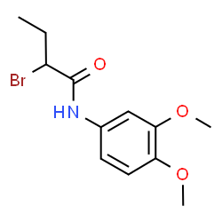 2-Bromo-N-(3,4-dimethoxyphenyl)butanamide picture