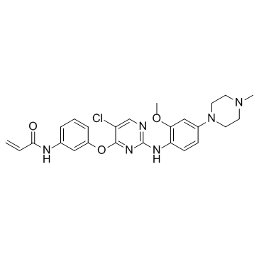 WZ4002 structure