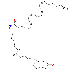 1217901-28-4结构式