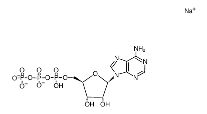 Adenosine 5'-triphosphate Structure