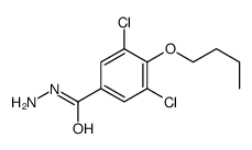 4-butoxy-3,5-dichlorobenzohydrazide Structure