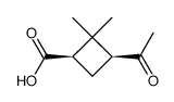 cis-norpinonic acid structure